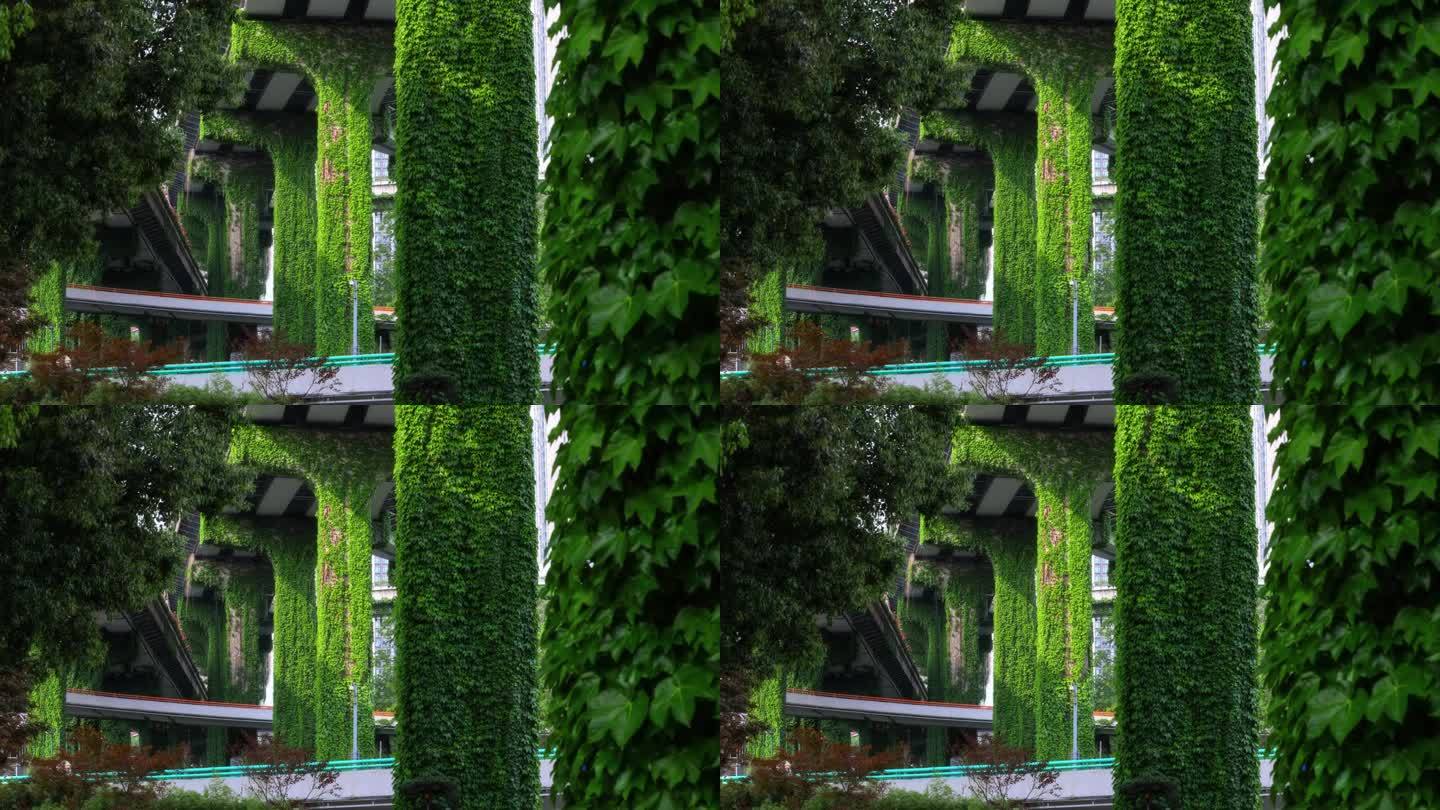 成都二环的高架桥上爬满了孤雌草，就像绿色的门