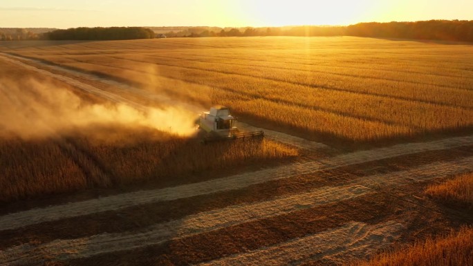 收获联合大田粮食农业小麦日落粮食工作