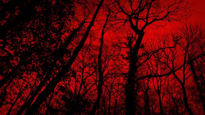在可怕的红色森林里走在树下