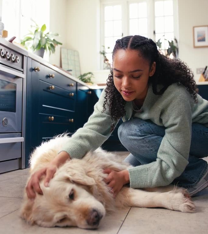 垂直视频十几岁的女孩在家里的厨房抚摸宠物金毛猎犬躺在地板上