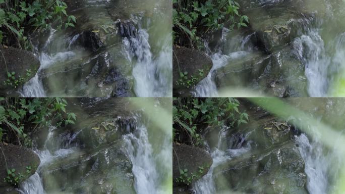来自斯里兰卡山区的天然溪流