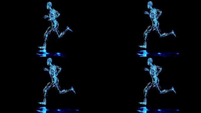 跑步人的骨骼系统，跑步时骨骼解剖，人体身体运动，慢跑者，跑步人，医学精准，健身，循环动画，3d渲染