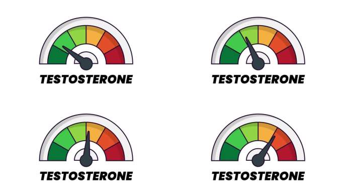 睾酮水平测量仪，带箭头和刻度。4K动态动画。