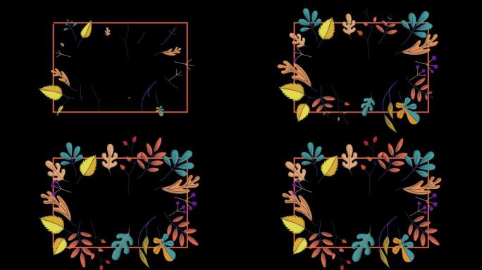 生长的植物和藤蔓动画在黑色的背景与亮度哑光(alpha通道)，与复制空间。还可以看看10715666