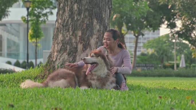 在大公园的草地上，一位亚洲妇女和她的狗坐在一起