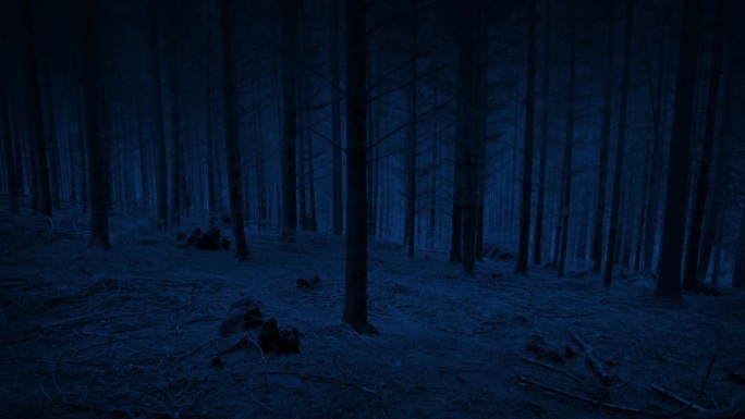 可怕的POV在夜间的森林斜坡下降