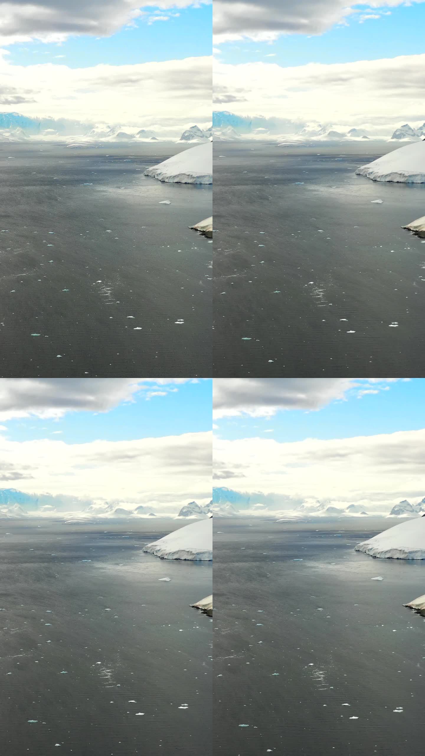 垂直视频雪，水，冰，冰山在南极的南极海洋。