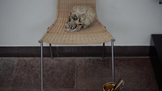 人类的头骨。人类的头骨放在椅子上。