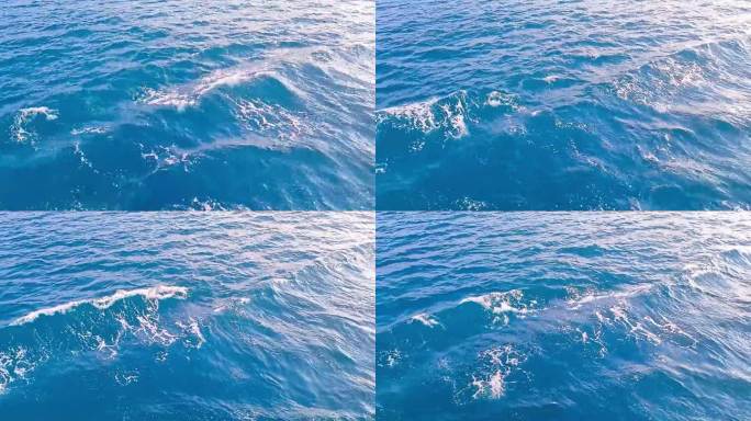 由于船舶的影响，海水呈蓝色，波浪较小