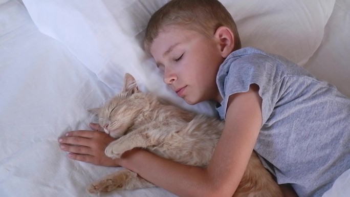 男孩睡着了，抱着他的姜黄色猫，猫和他一起睡在被子里。孩子和宠物。猫和婴儿睡在一起。孩子正准备睡觉