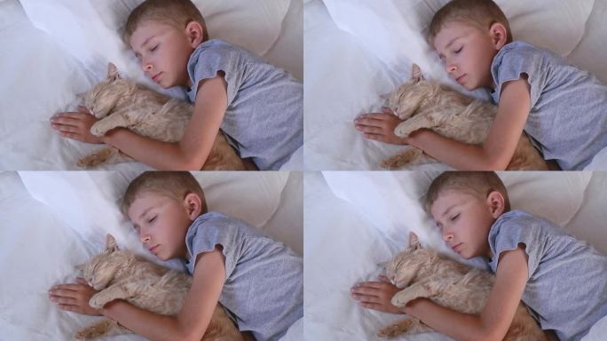 男孩睡着了，抱着他的姜黄色猫，猫和他一起睡在被子里。孩子和宠物。猫和婴儿睡在一起。孩子正准备睡觉