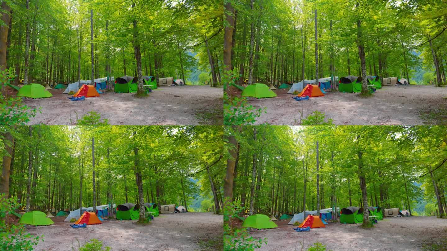 在森林里露营时在树上搭帐篷