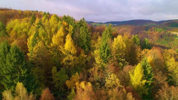 空中秋天童话在一个美丽的阳光灿烂的日子里在五颜六色的森林树梢