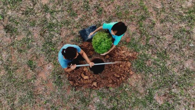 母亲和女儿在植树。