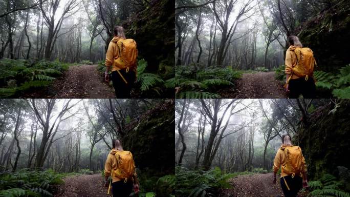 一名妇女在特内里费岛的阿纳加月桂林中徒步旅行