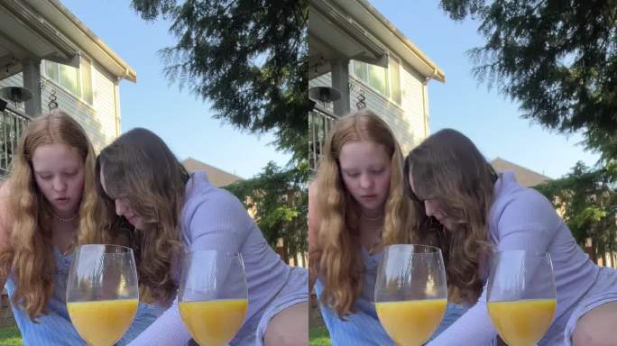 两个十几岁的女朋友在大自然中野餐，拍自拍视频，手里拿着书，手机，杯子，橙汁，橘子，草莓，奶油，爆米花
