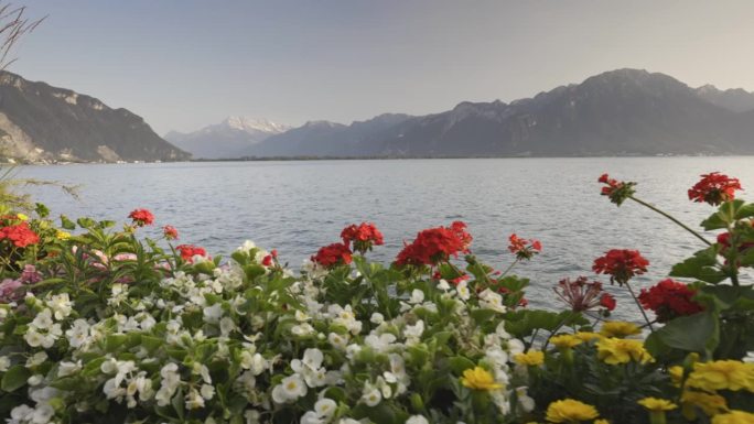 在瑞士蒙特勒，有花的河堤和日内瓦湖和山脉的景色。在蒙特勒的日内瓦湖岸边，用万向架拍摄的绚丽多彩的花朵