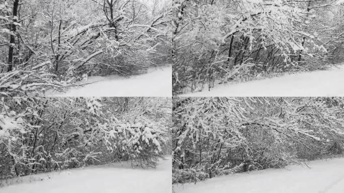 在下雪的时候，在北方国家沿着被雪覆盖的森林的冬季道路上的圣诞旅行。迎面而来的车辆。极端路况