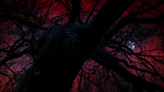 黑暗的树与万圣节的天空