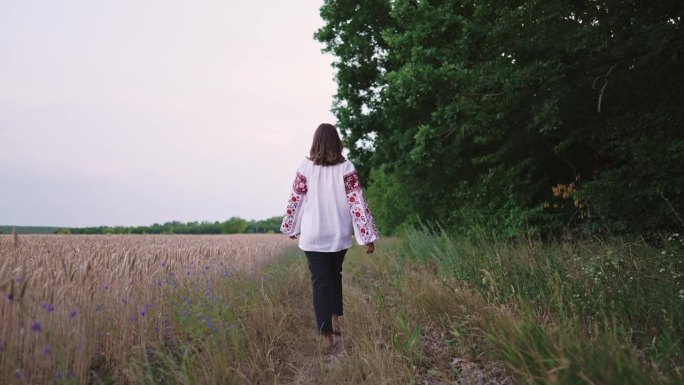 乌克兰妇女走在麦田附近。穿着传统刺绣的年轻女士。乌克兰，美丽的自然，不认识的女孩，后视图。摄像机跟随