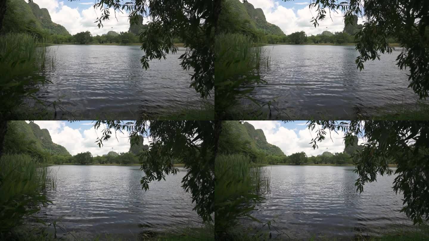 绿树成荫，碧蓝多云，微风吹过，自然池塘的水面荡漾着宁静的涟漪。