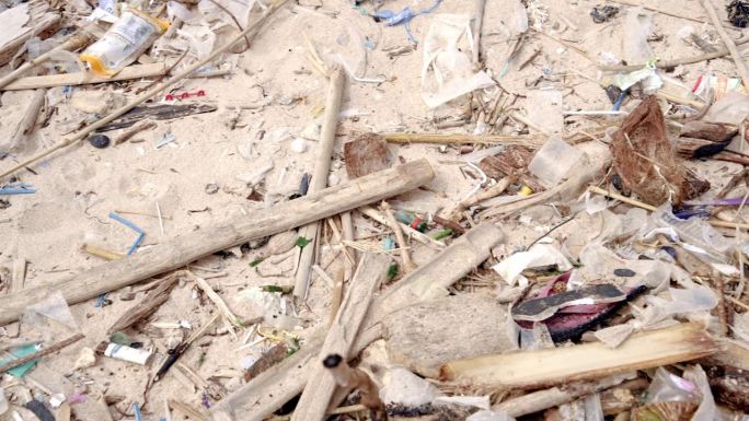 垃圾对海滩生态和自然环境的污染。世界垃圾和废物的生态控制与生态系统的破坏。危险的瓶袋垃圾和水岸泥土中