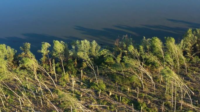 夏季超级单体风暴后被破坏的森林景观航拍，无人机拍摄环境破坏景