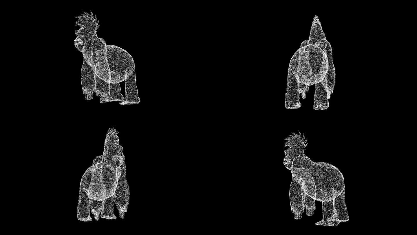 3D有趣的大猩猩旋转黑色bg。有趣的动物概念。商业广告背景。用于标题，文本，演示。3d动画60 FP
