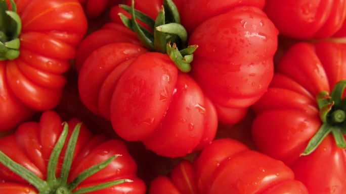 美味的红番茄背景。蔬菜市场，农业有机农场。新鲜潮湿的西红柿近距离旋转。营养，饮食，素食。健康饮食食材