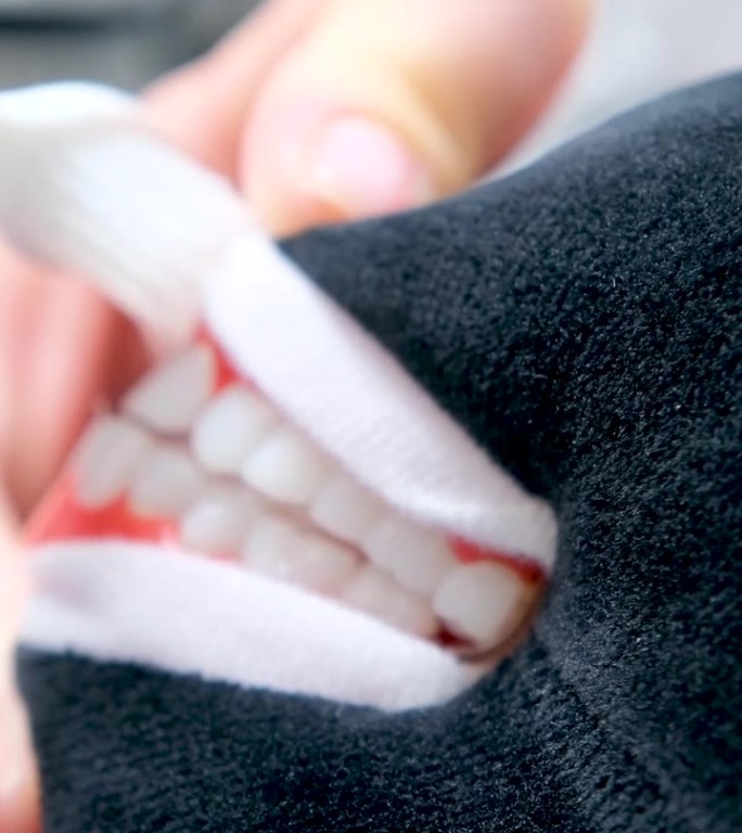 如何正确刷牙牙齿玩具动物医生的手刷牙对人体模型展示孩子正确斑马毛绒玩具牙科儿童课学龄前卫生频率个人护