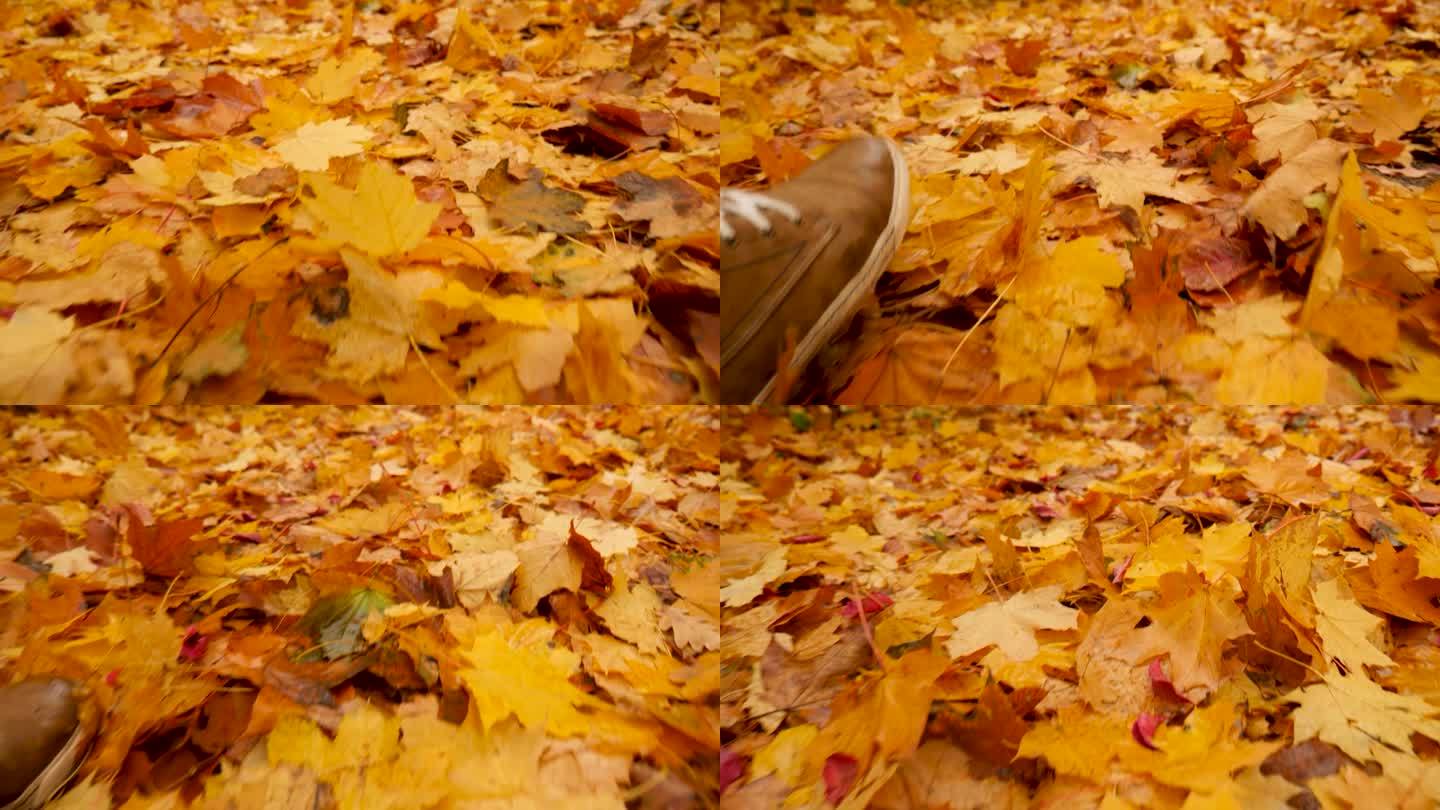 枫叶秋林落地。慢动作脚走秋天的公园落叶地面。腿踩人鞋走路腿脚角度低。步走慢动作。落叶秋日，落叶秋日