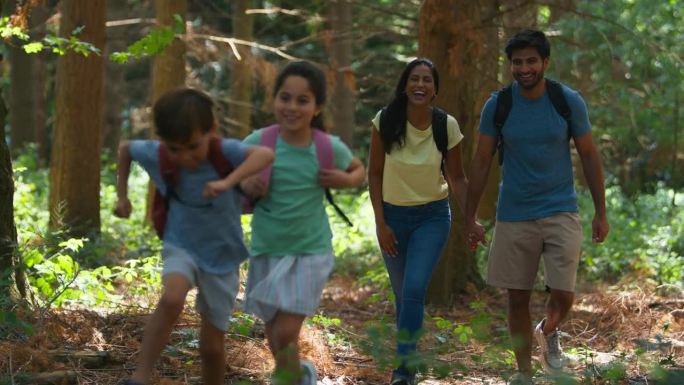 一个背着背包的家庭在夏日的森林里徒步旅行或散步，孩子们在前面跑着