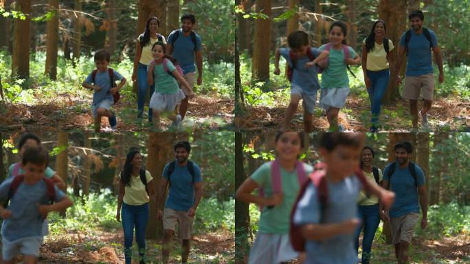 一个背着背包的家庭在夏日的森林里徒步旅行或散步，孩子们在前面跑着