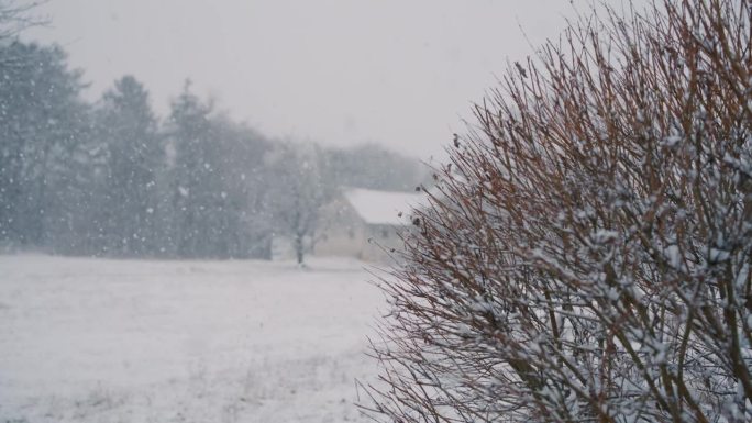 雪落在农村的一个农场上