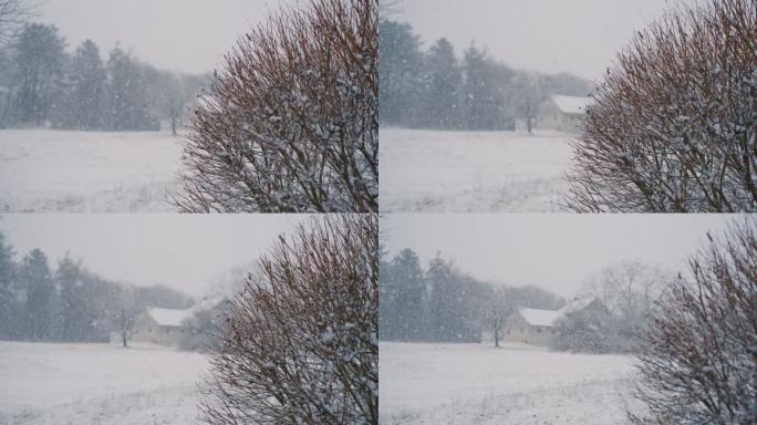 雪落在农村的一个农场上