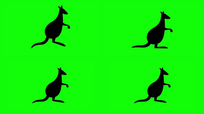 跳跃的袋鼠剪影在绿色背景。4 k
