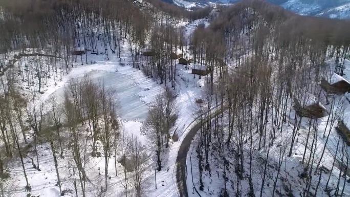 森林里结冰的湖雪林雪景冰天湖泊