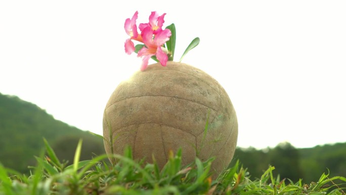 一个旧足球躺在草地上，为花儿哀悼。垃圾桶。4公里侧面视图