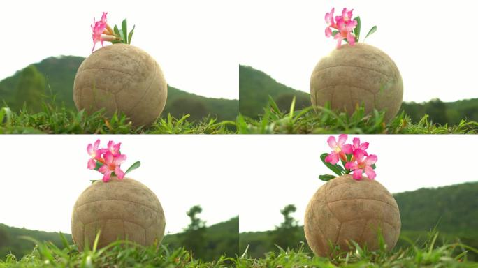 一个旧足球躺在草地上，为花儿哀悼。垃圾桶。4公里侧面视图