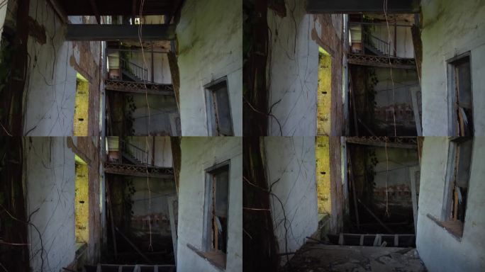 在破旧的旧建筑内部，藤蔓在倒下的地板上生长，楼梯从屋顶到地板的镜头