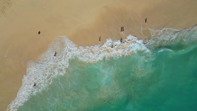 海滩和海浪的鸟瞰图，白色的沙滩和蓝色的大海