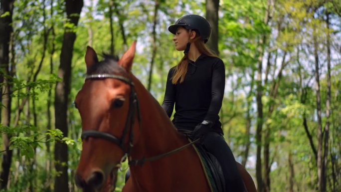 自信苗条的年轻女子坐在马背上，就像动物在阳光明媚的森林里漫步一样。美丽的高加索骑手骑着宠物在春夏的户