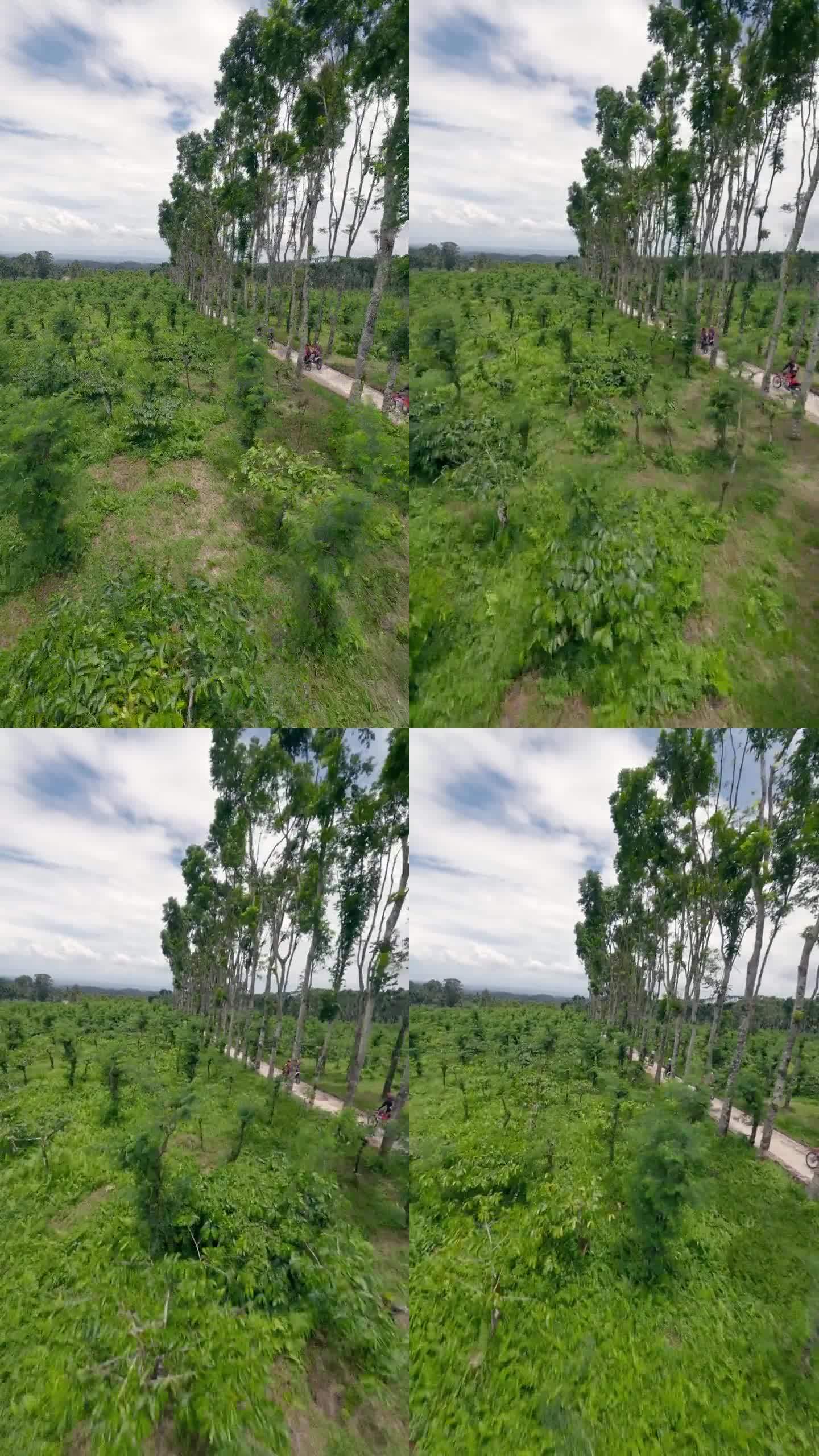 垂直视频。一群耐力摩托车手在丛林中的柏油路上骑行