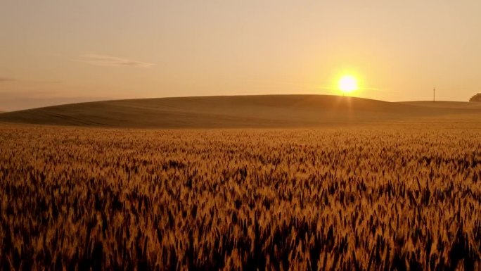 航拍的美丽的乡村与金色的麦田在日落