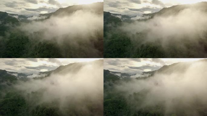 郁郁葱葱的绿色雨林山鸟瞰图