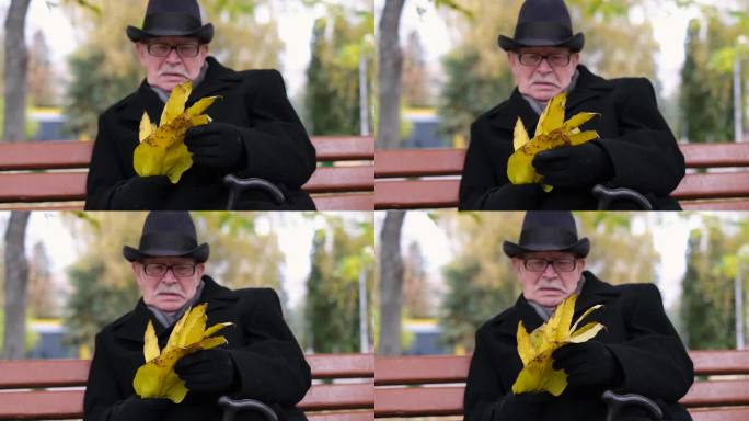 一个孤独的老人，穿着黑外套，戴着黑帽子，坐在秋天的公园里，手里拿着黄叶。