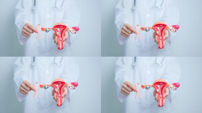 9月子宫癌宣传月，医生手持带有子宫和卵巢模型的桃丝带。子宫内膜异位症、子宫切除术、子宫肌瘤、生殖、保