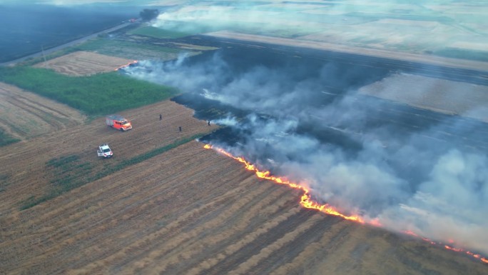 田野着火了，绿油油的稻田和麦田里燃烧着小草。鸟瞰图清晰的火线和燃烧场和灰烬的黑色层