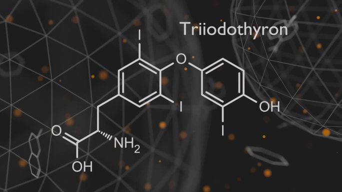 三碘甲状腺原氨酸(T3，碘甲状腺原氨酸)甲状腺激素分子。垂体激素。也用作治疗甲状腺功能减退的药物。骨