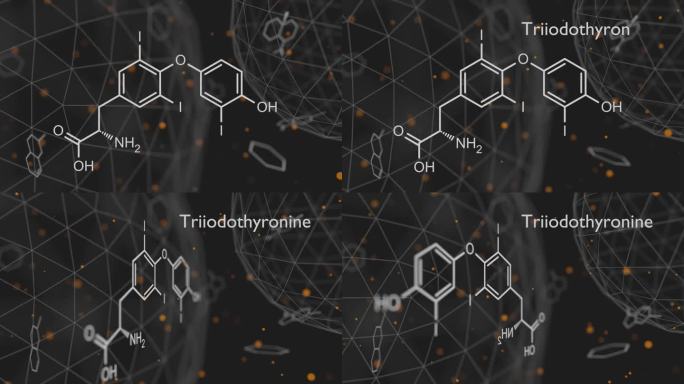 三碘甲状腺原氨酸(T3，碘甲状腺原氨酸)甲状腺激素分子。垂体激素。也用作治疗甲状腺功能减退的药物。骨